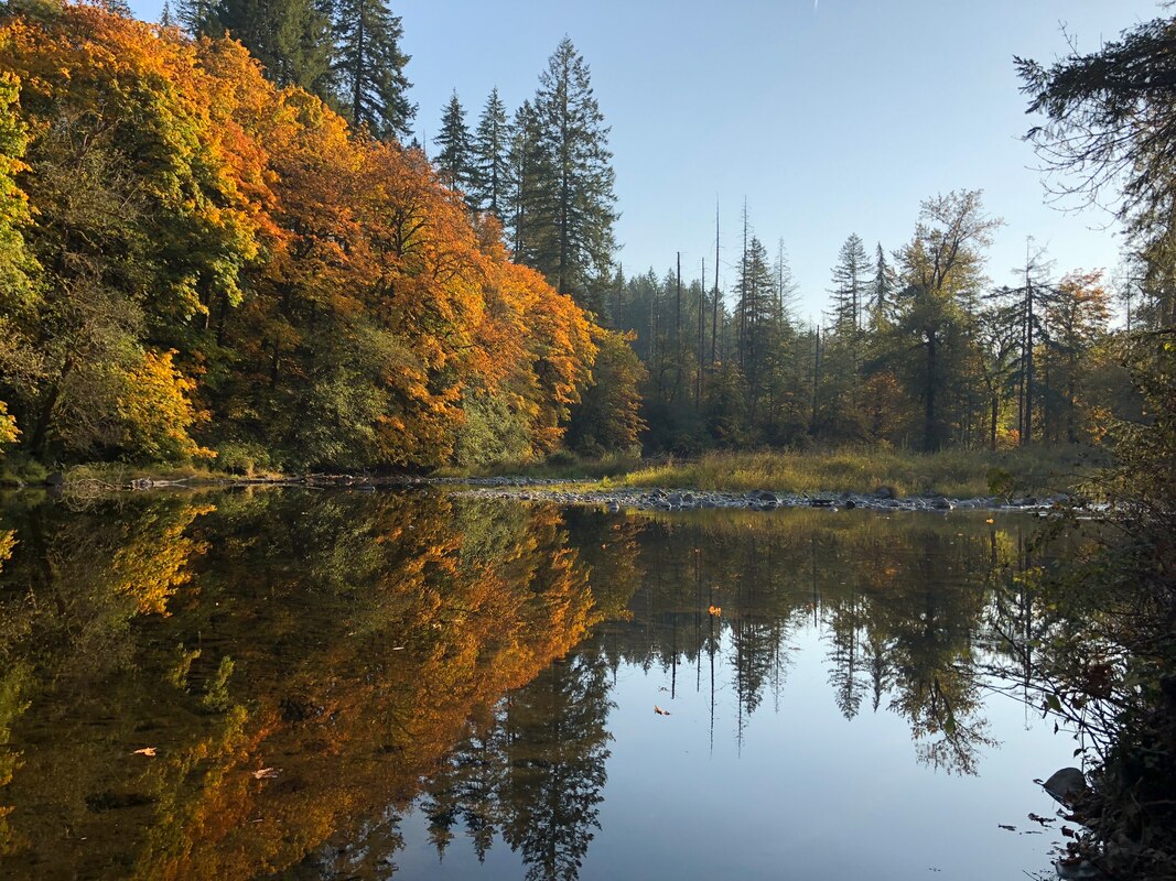 Reflection photo
